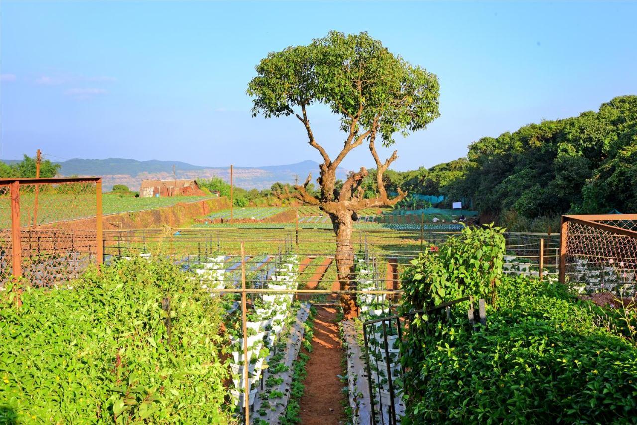 Hrishikesh Villa, Besides Valley 마하발레슈와르 외부 사진